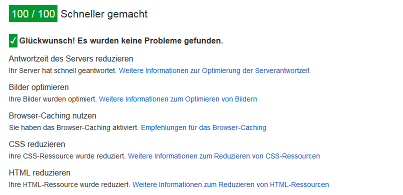 Ladegeschwindigkeit Page Speed Insights.png