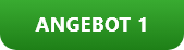 Angebot 1