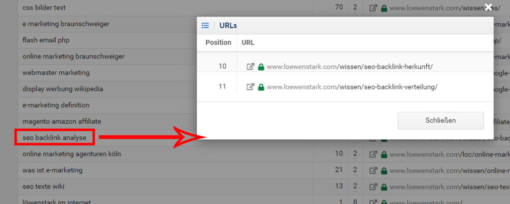 Doppelte Rankings zum Keyword "SEO Backlink Analyse"