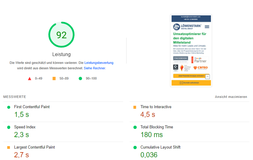 Screenshot PageSpeed Insights